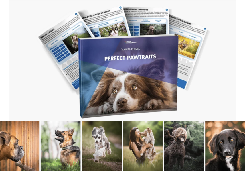 [Тамара Кедвес] Идеальные Pawtraits (2024)_0.png